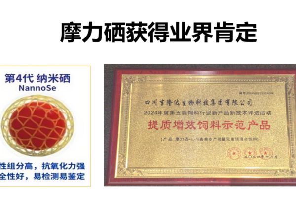 ����ǰ�С���Ħ�����ٻ�������Ч����ʾ����Ʒ���ƺ�