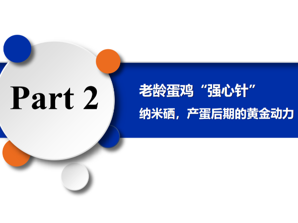 ���䵰����ǿ���롱����Ħ�������������ڵĻƽ���