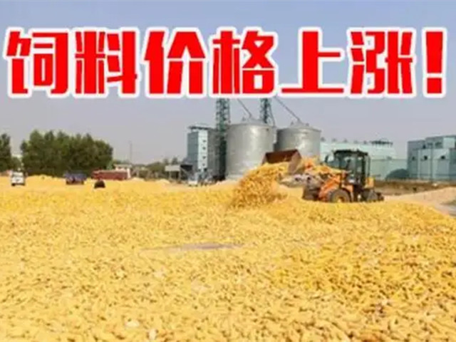 ںϼ۸ٴϳҲп࣡ﶬҪԵø