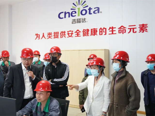 ͨɷݴιppģл΢Ԫع