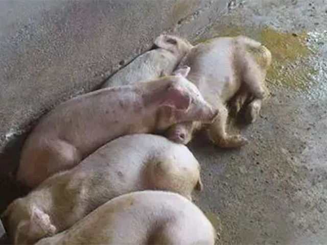 2022궬к֢״ղأ